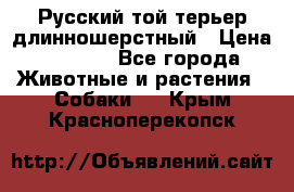 Русский той-терьер длинношерстный › Цена ­ 7 000 - Все города Животные и растения » Собаки   . Крым,Красноперекопск